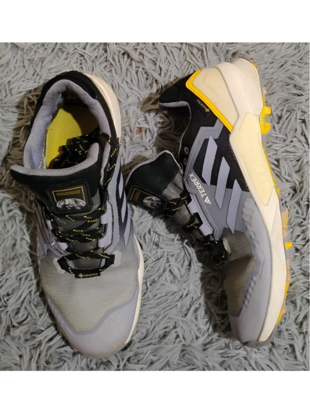 National Geographic x adidas Terrex Swift R3 Men Size 11 Goretex Silver Shoes